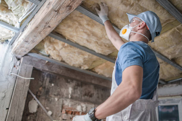 Best Insulation Maintenance and Repair in Indian River, MI